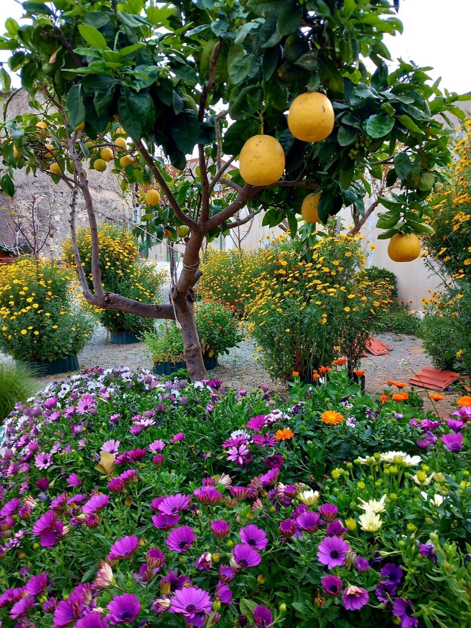 4 Seasons Suites Paradise Near Athens Airport Markópoulon 外观 照片