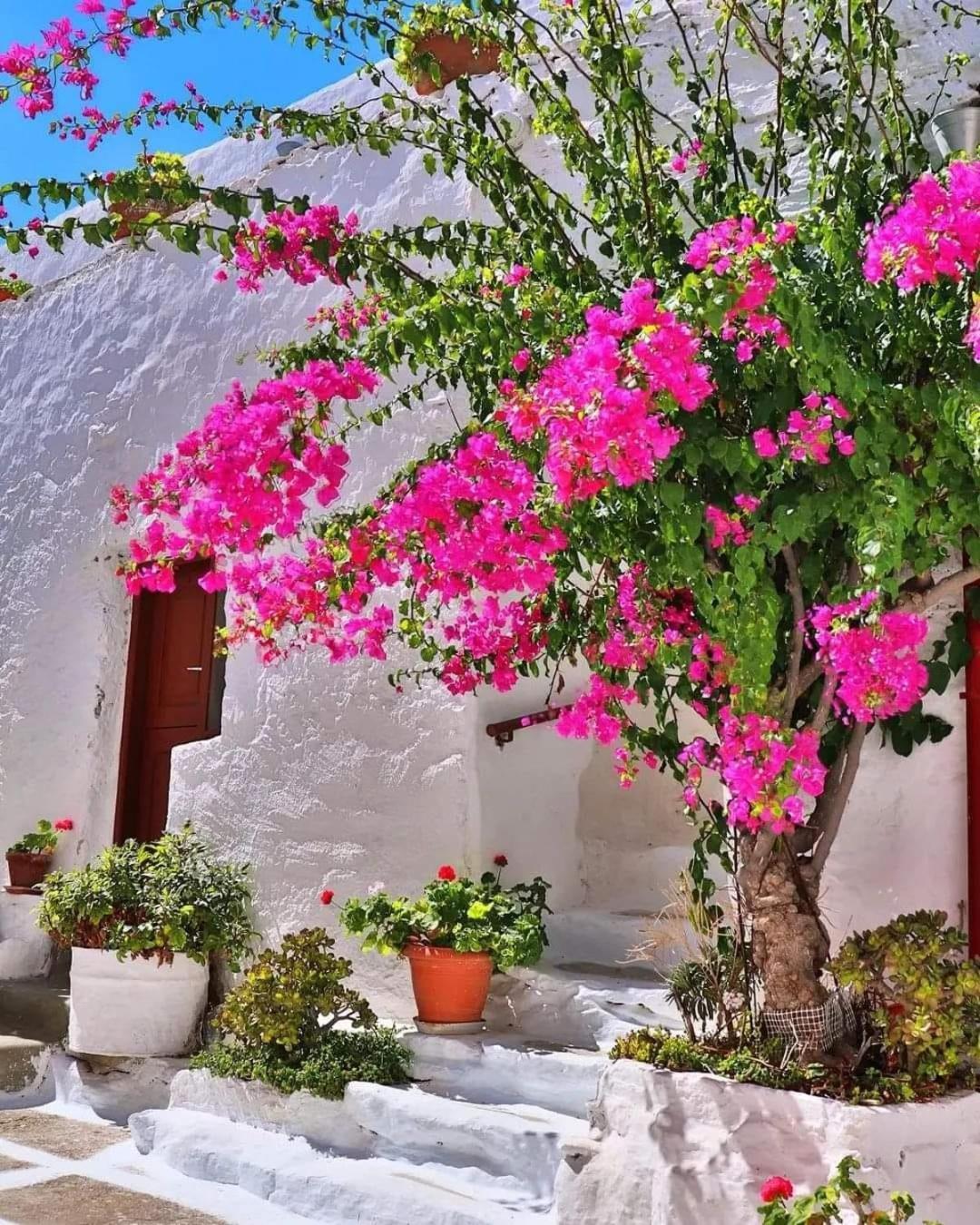 4 Seasons Suites Paradise Near Athens Airport Markópoulon 外观 照片