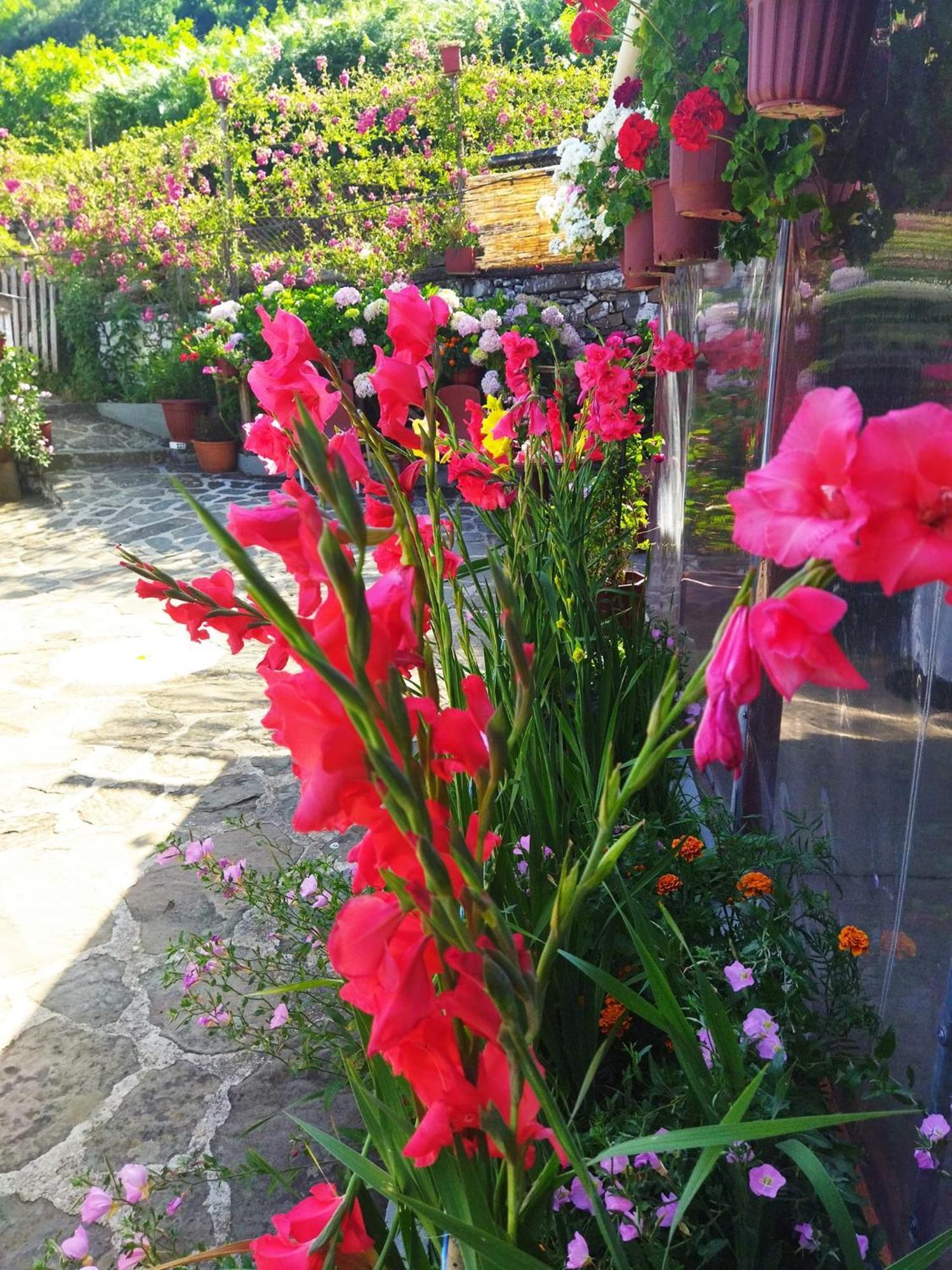 4 Seasons Suites Paradise Near Athens Airport Markópoulon 外观 照片